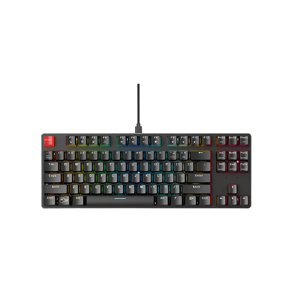 Glorious GMMK Tenkeyless Black (Pre - Built) RGB Mechanical Gaming Keyboard - Vektra Computers LLC